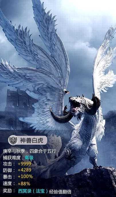 88影视